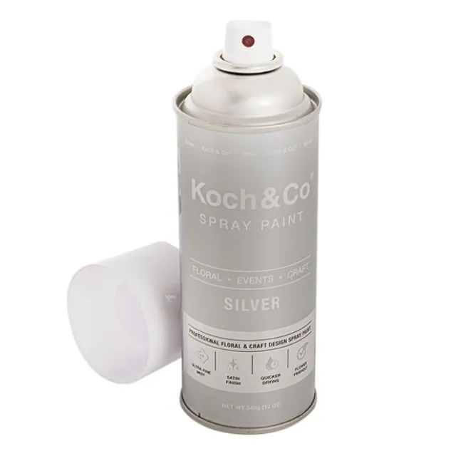 Floral Event Craft Spray Paint Metallic Silver (340g)