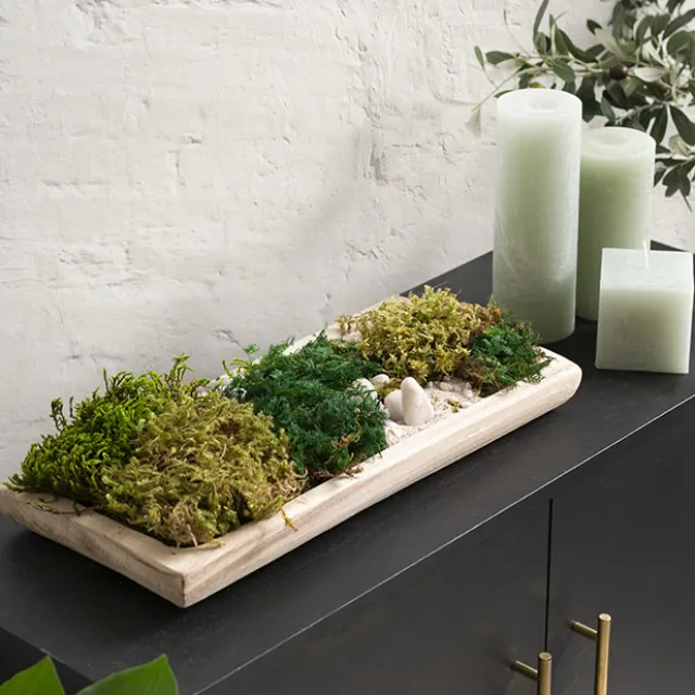 Premium Preserved Star Moss 500g Box Green