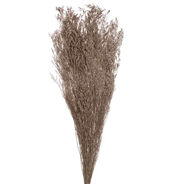 Preserved Dried Sea Lavender Bunch 100g Soft Brown