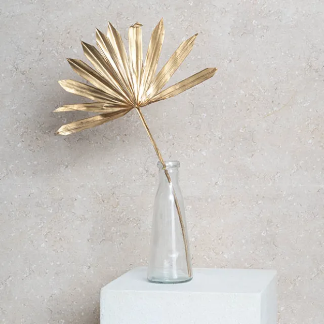 Preserved Dried Sun Cut Palm Leaf Gold (40-45cmH)