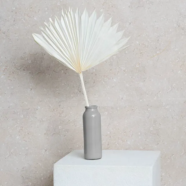 Preserved Dried Sun Cut Palm Leaf Bleach White (40-45cmH)