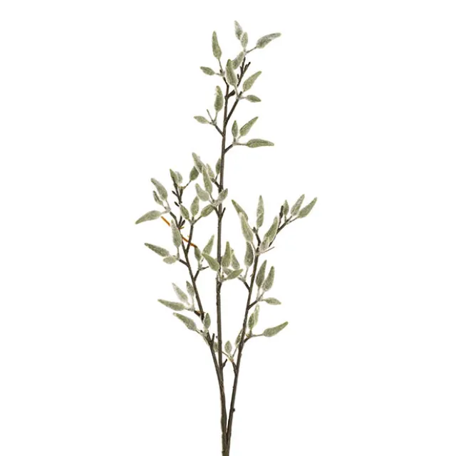 Pussy Willow Spray Pale Green (83cmH)