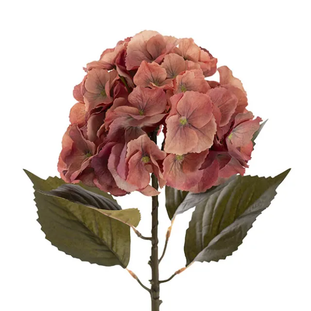 Eldorado Hydrangea Stem Rustic Coral (18cmDx64cmH)