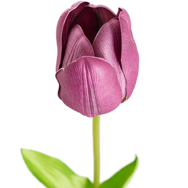 Real Look Wicked Tulip Purple (6cmDx63cmH)