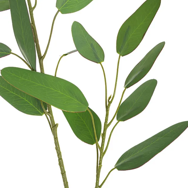 Real Touch Double Faced Eucalyptus Gunnii Spray Green(63cmH)