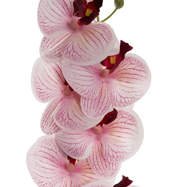 Real Touch Phalaenopsis Orchid Stem x7 Head Wine (85cmH)