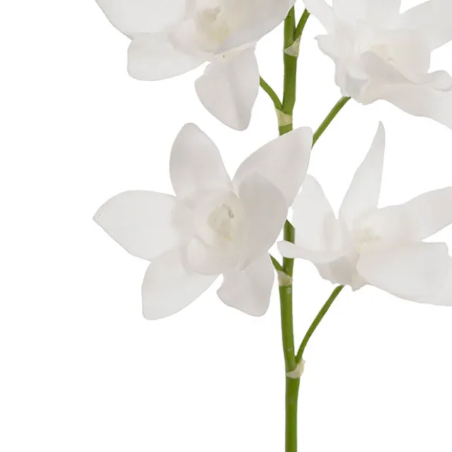 Real Touch Singapore Orchid x5 Flowers White (64cmH)