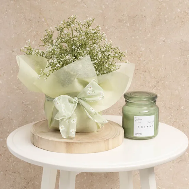 Ribbon Sheer Daisy Delight Wire Edge SeafoamGreen (60mmx10m)