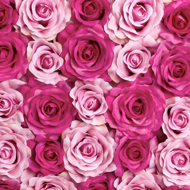 Rose Flower Wall Mixed Pink (50cmx50cm)