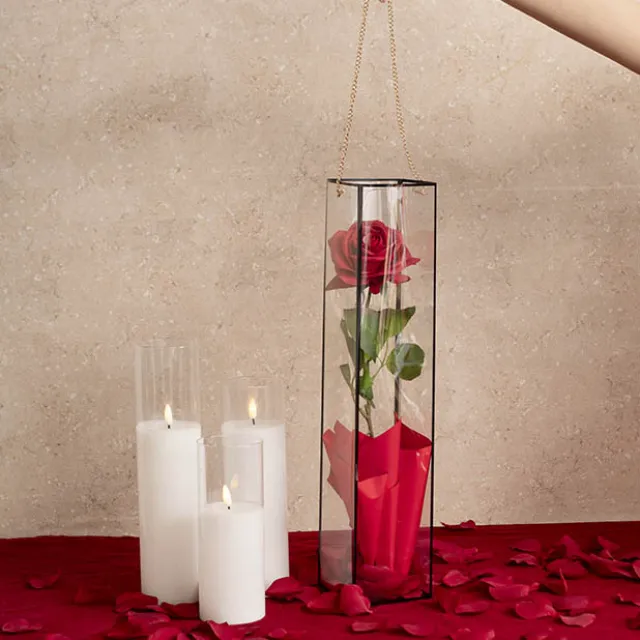 Rose Square PVC Carry Tube Clear & Black Pack 5 (10cmx50cmH)