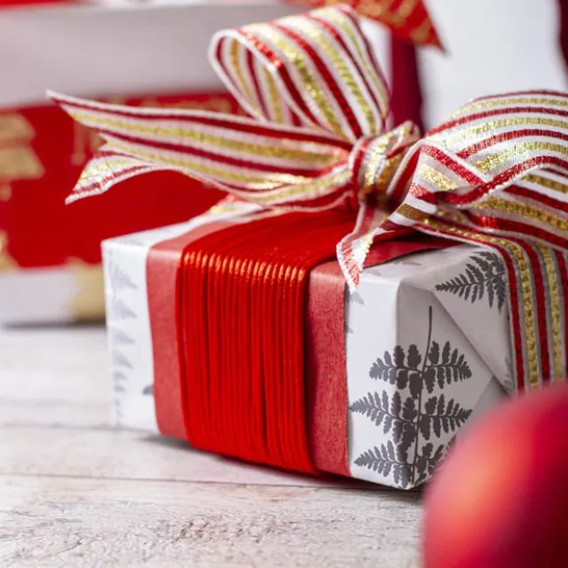 Satin Cord Red (2mmx100m)