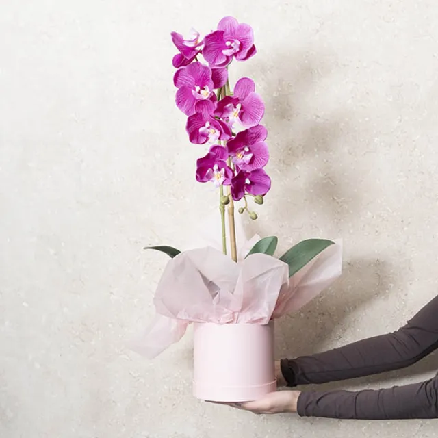 Tissue Paper Pack 100 Acid Free 17gsm Light Pink (50x75cm)