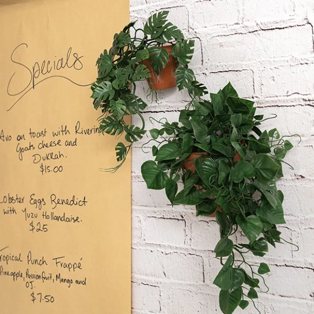 UV Treated Hanging Plant Philo Monstera Green (35cmH)