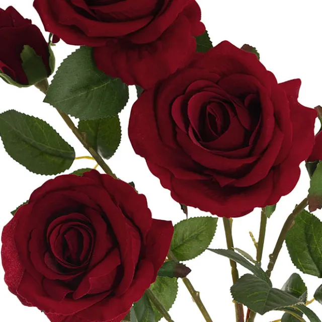 Velvet Rose x 5 Head Spray Dark Red (75cmH)