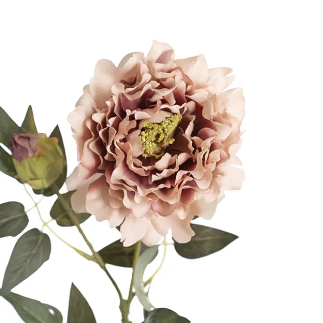 Vintage Peony Spray Dusty Pink (70cmH)