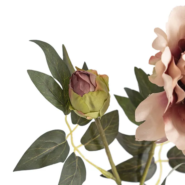 Vintage Peony Spray Dusty Pink (70cmH)