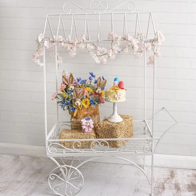 Display Cart White (113cmx56cmx171cmH)