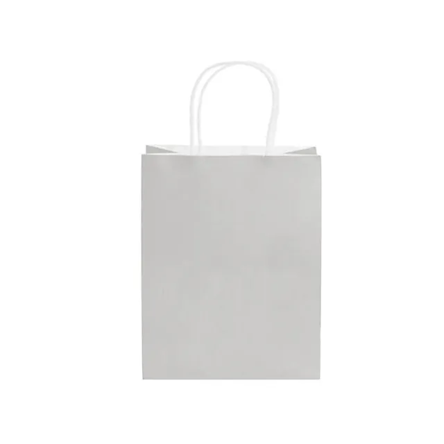 Kraft Paper Bag Shopper Medium Silver Pk10(205Wx110Gx275mmH)