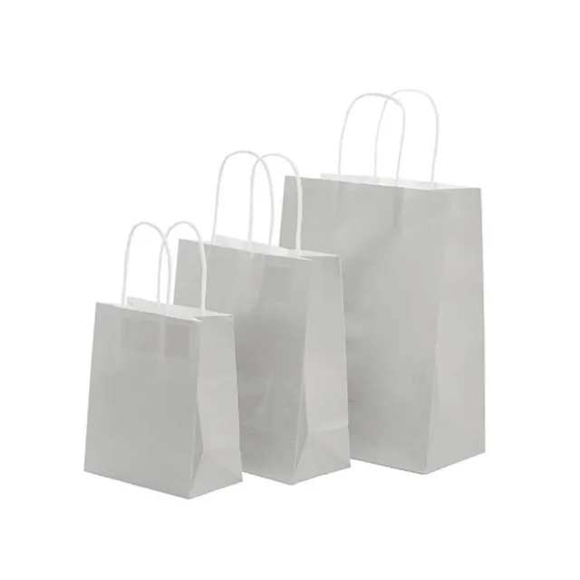 Kraft Paper Bag Shopper Medium Silver Pk10(205Wx110Gx275mmH)