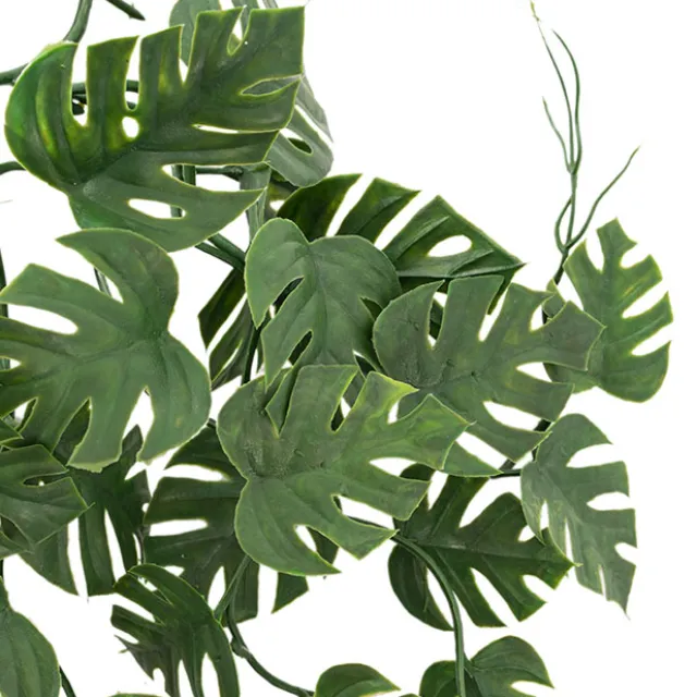 UV Treated Hanging Plant Philo Monstera Green (35cmH)