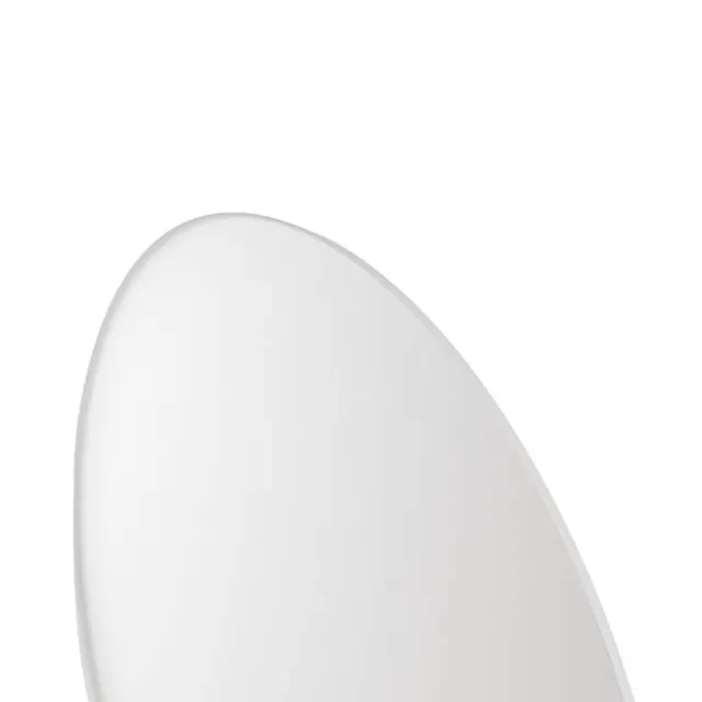 Frosted Acrylic Plates Pack 2 Clear (30cmDx0.03cmH)