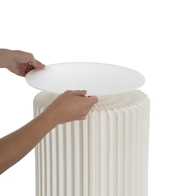 Frosted Acrylic Plates Pack 2 Clear (30cmDx0.03cmH)