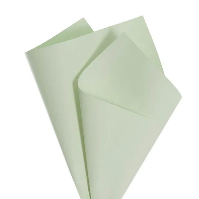 Kraft Paper Coloured 80gsm Deep Sage Pack 100 (50x70cm)