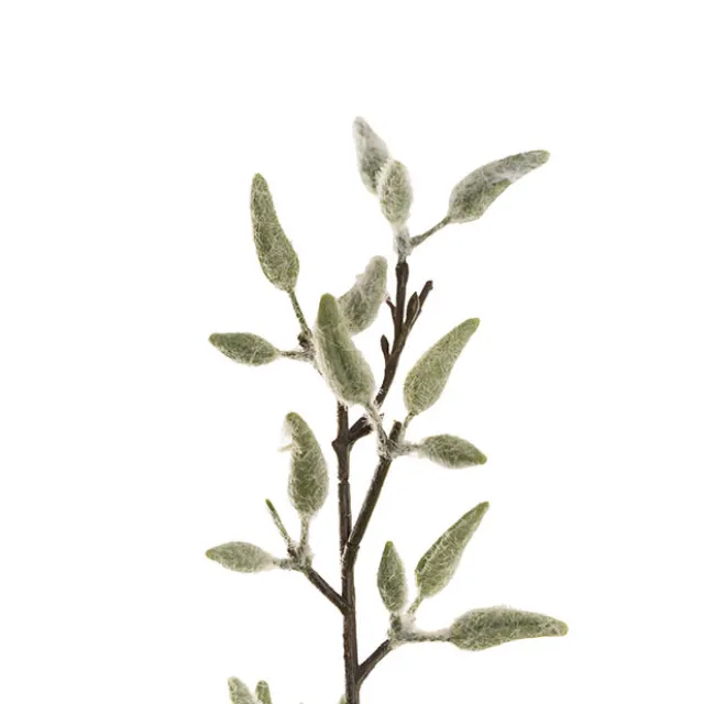 Pussy Willow Spray Pale Green (83cmH)